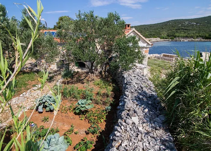 Prázdninový dům House Landjin Pašman
